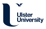 Ulster University - Social Justice Hub